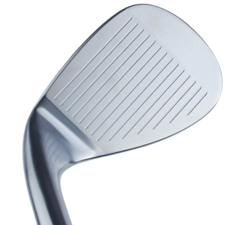 Polished Steel Grasshopper Wedge